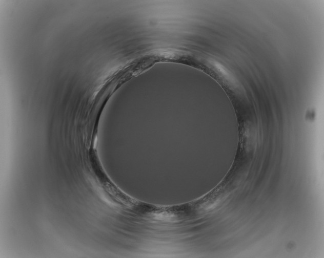 X0000091960500200709131230