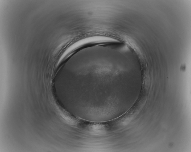 X0000091960501200709131230