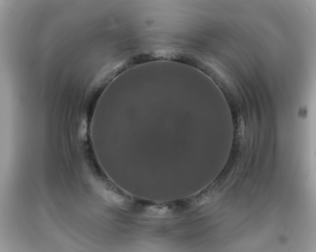 X0000091960502200709131230