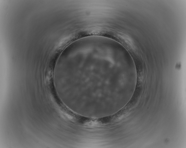 X0000091960503200709131230