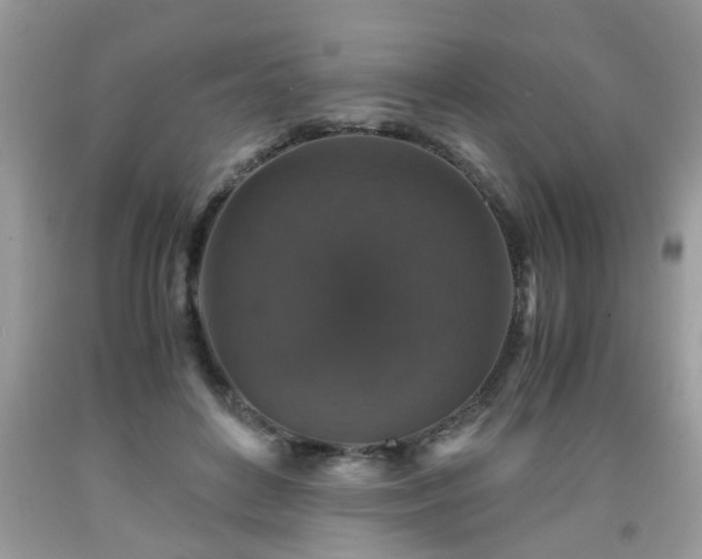 X0000091960504200709131230