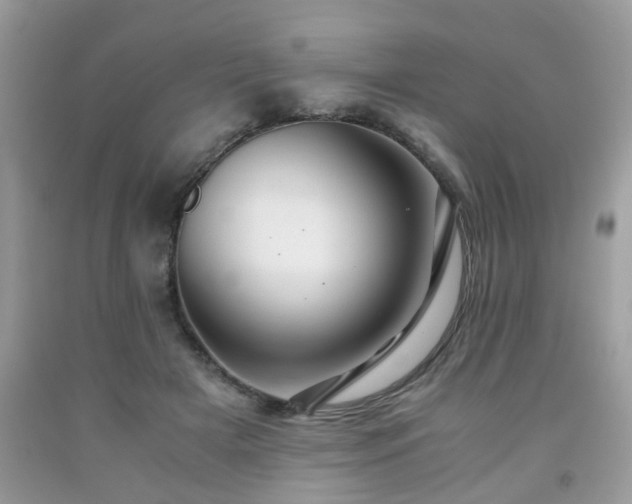 X0000091960505200709131230