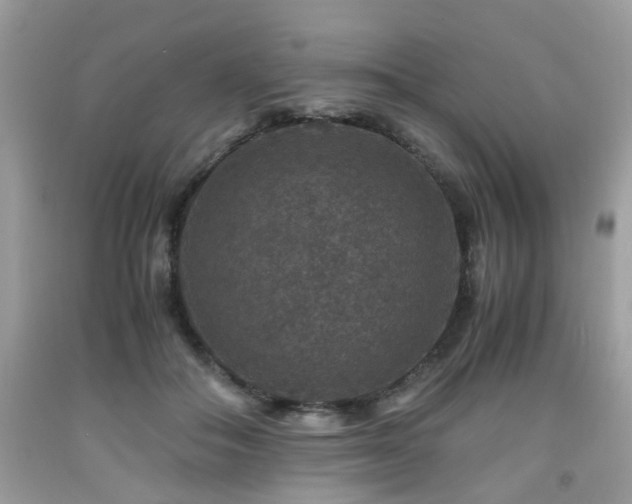 X0000091960506200709131229