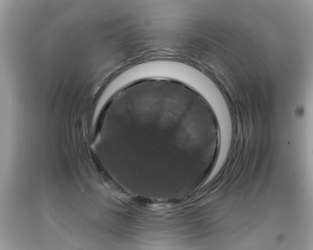 X0000091960508200709131229