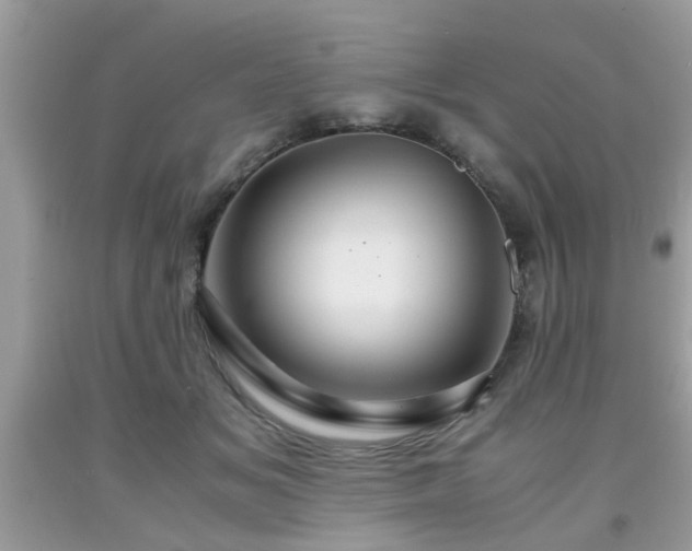 X0000091960509200709131229