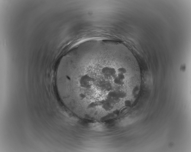 X0000091960511200709131229