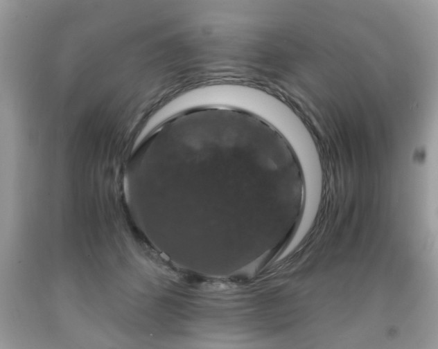 X0000091960512200709131229