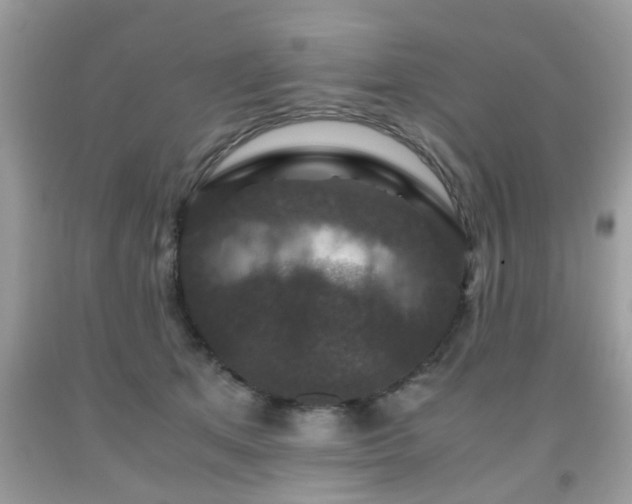 X0000091960513200709131229