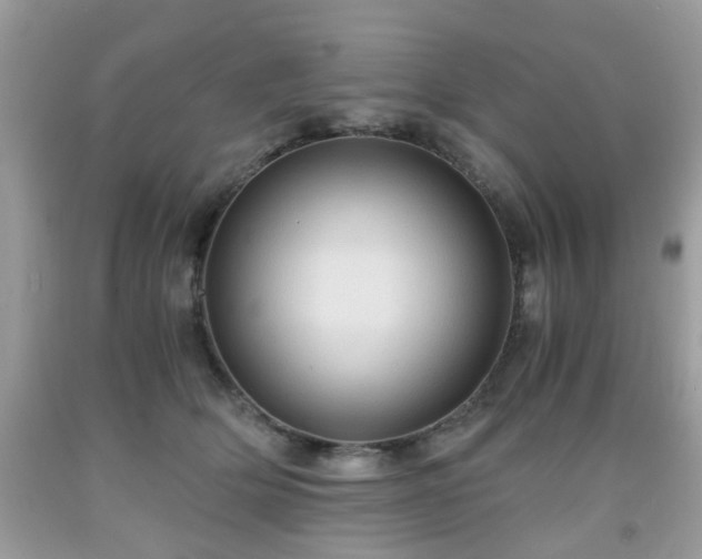 X0000091960514200709131229