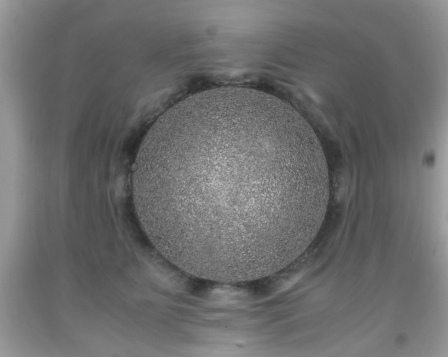 X0000091960515200709131229