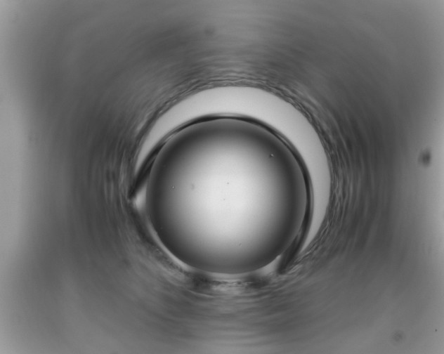 X0000091960516200709131229