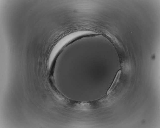 X0000091960517200709131229