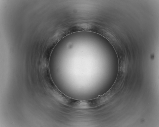 X0000091960518200709131229