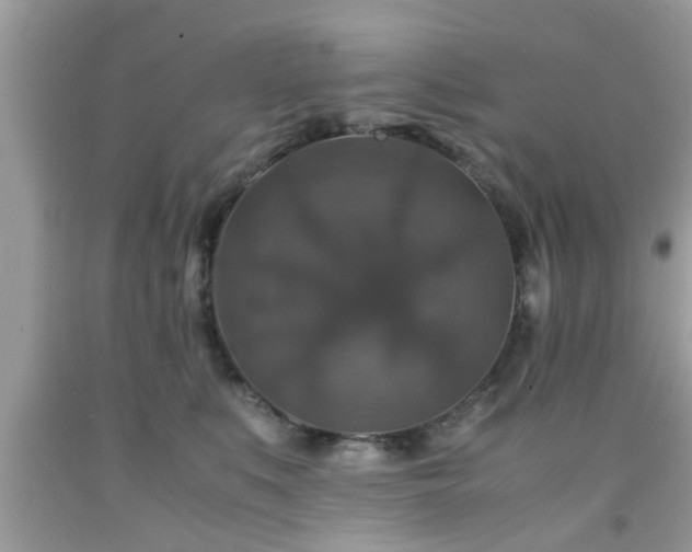 X0000091960519200709131229