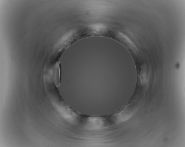 X0000091960520200709131229