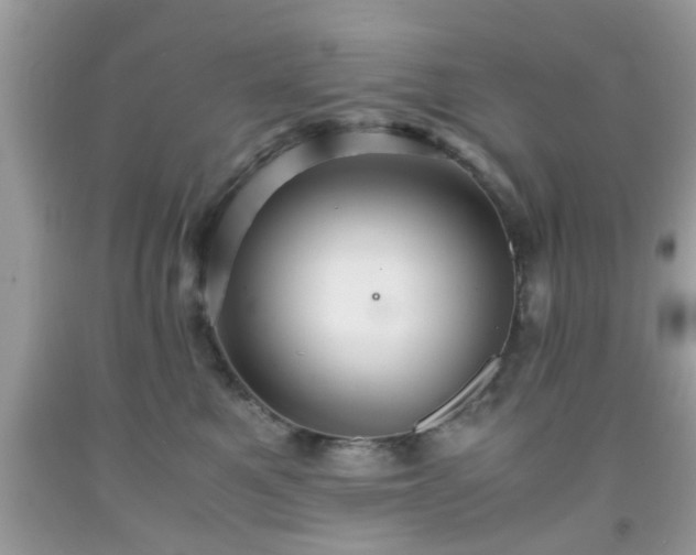 X0000091960521200709131229