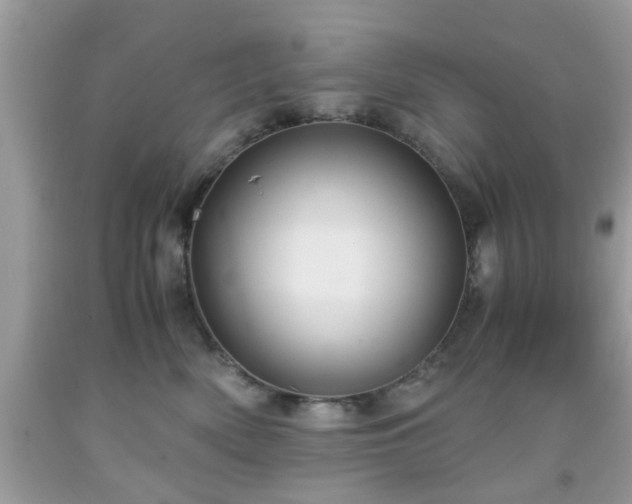 X0000091960522200709131229