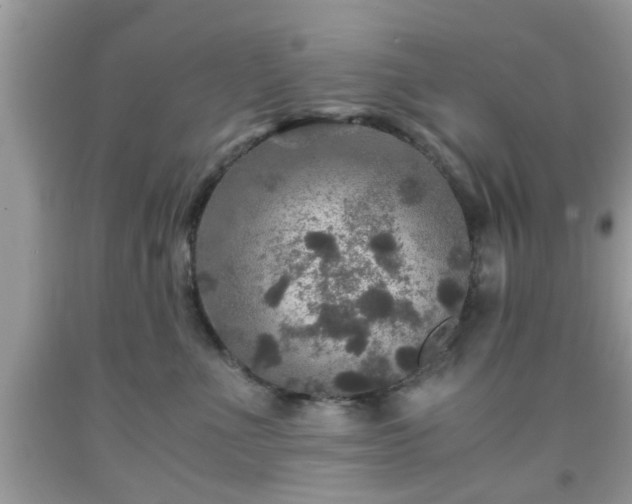 X0000091960523200709131229