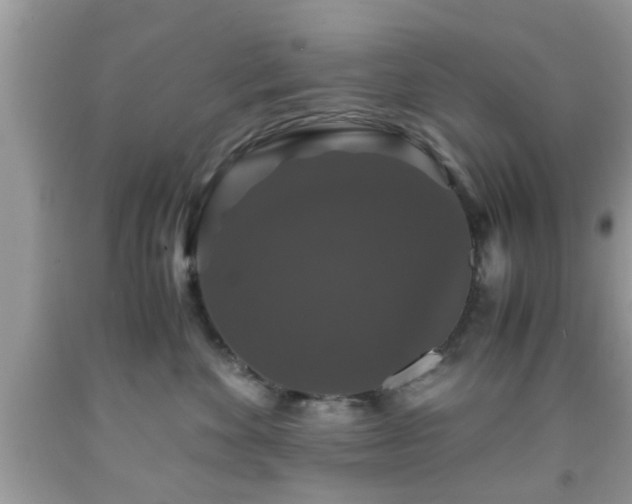 X0000091960524200709131229