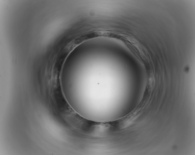 X0000091960525200709131229