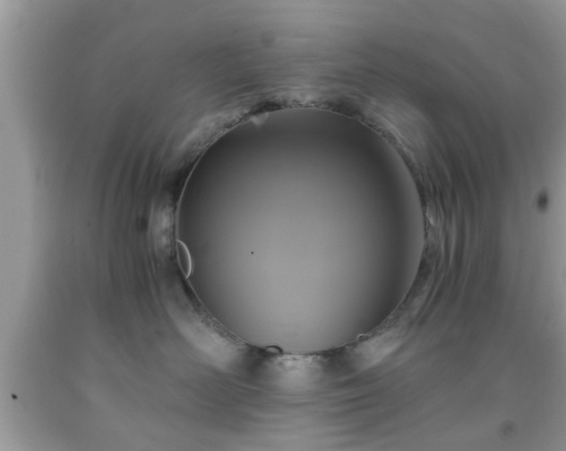 X0000091960526200709131229