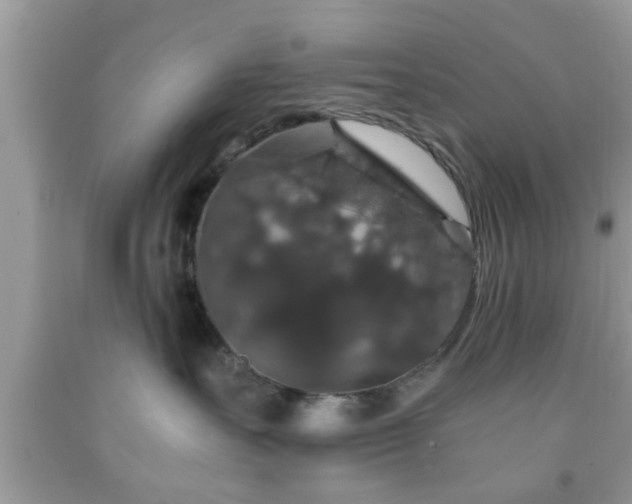 X0000091960527200709131229