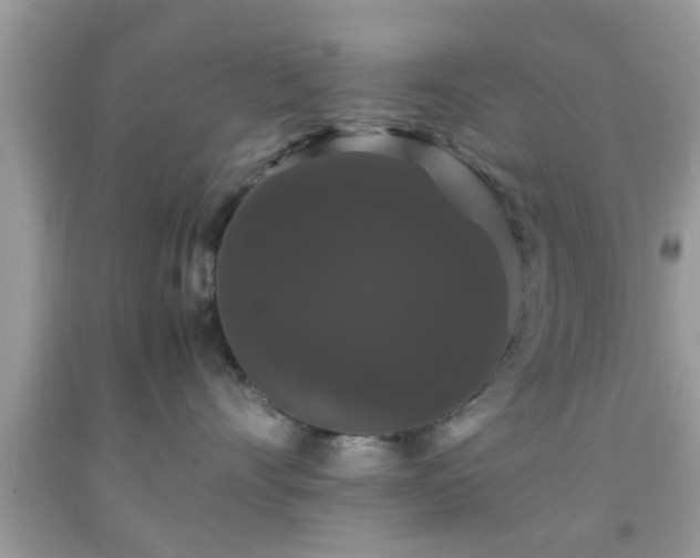 X0000091960528200709131229