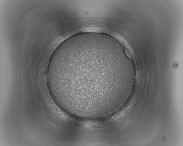 X0000091960529200709131228