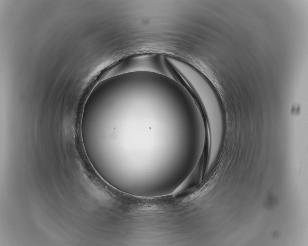 X0000091960530200709131228