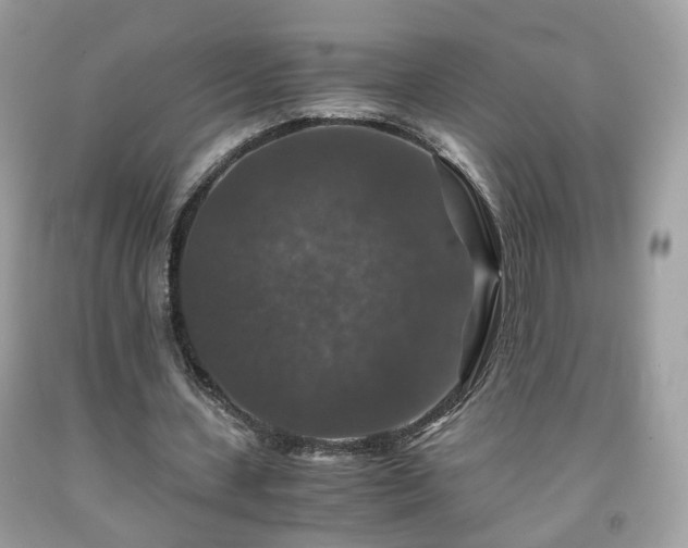 X0000091960531200709131228