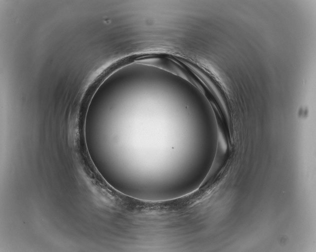 X0000091960532200709131228