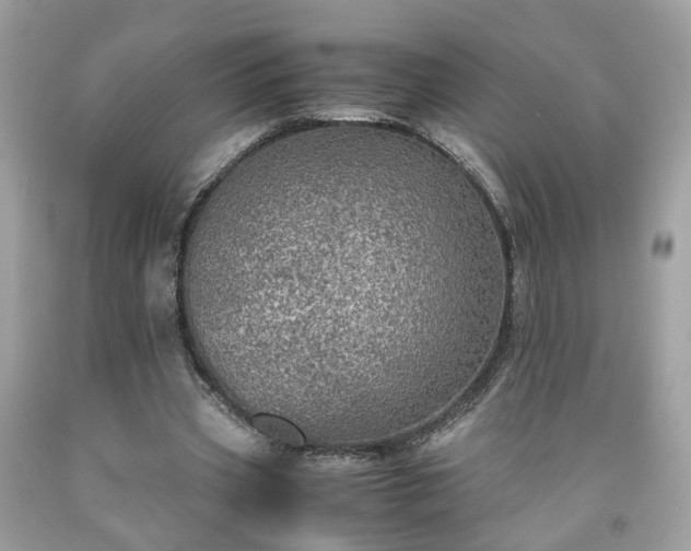 X0000091960533200709131228