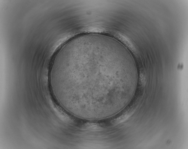 X0000091960534200709131228