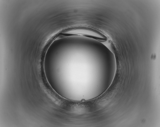 X0000091960535200709131228