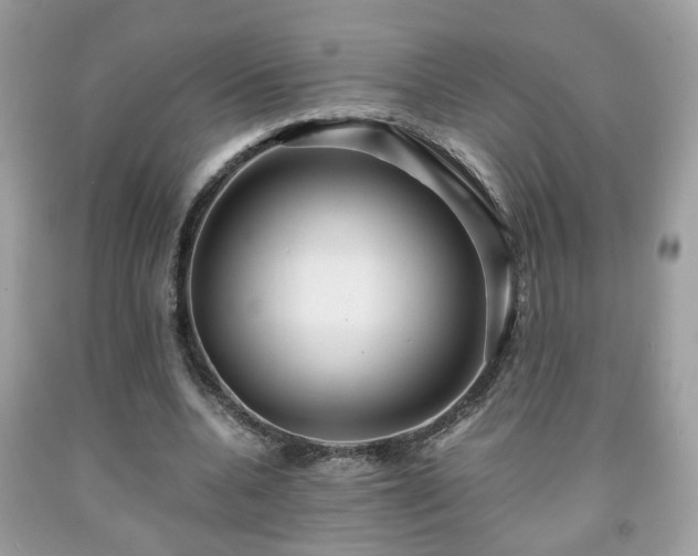 X0000091960536200709131228