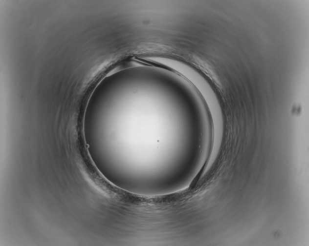 X0000091960538200709131228