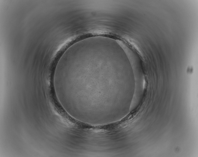 X0000091960539200709131228