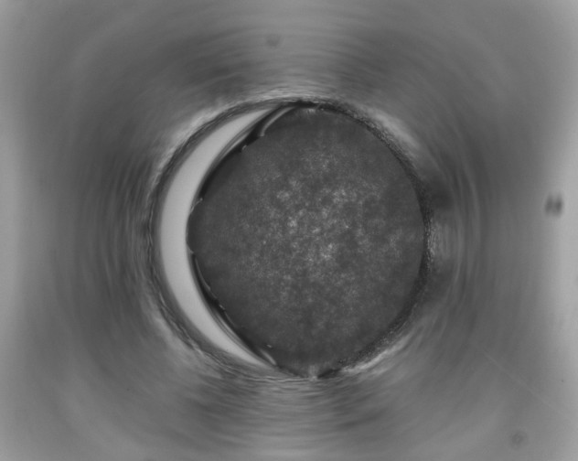 X0000091960540200709131228