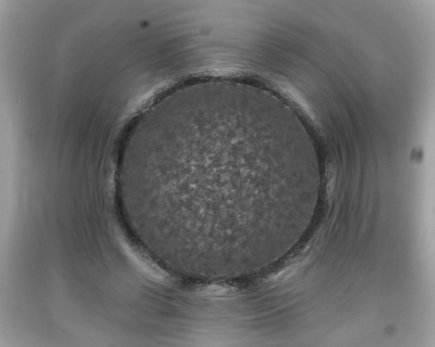 X0000091960542200709131228