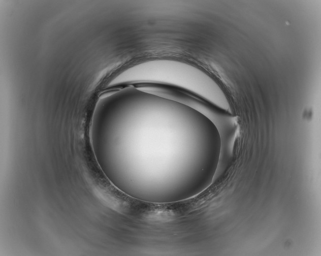 X0000091960543200709131228