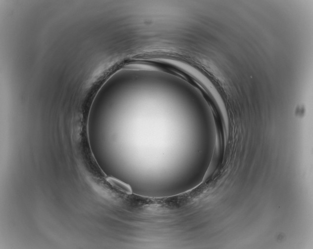 X0000091960544200709131228