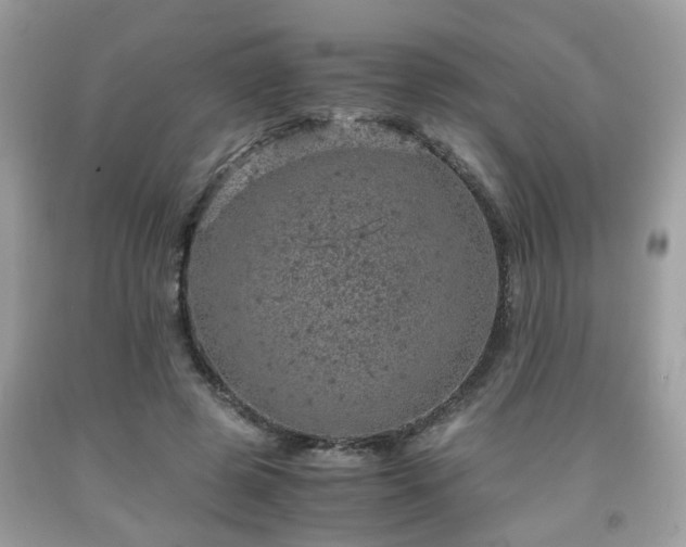 X0000091960545200709131228