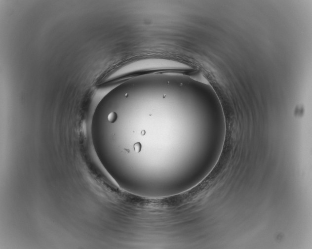 X0000091960546200709131228