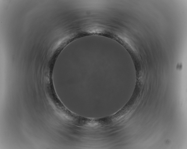 X0000091960547200709131228