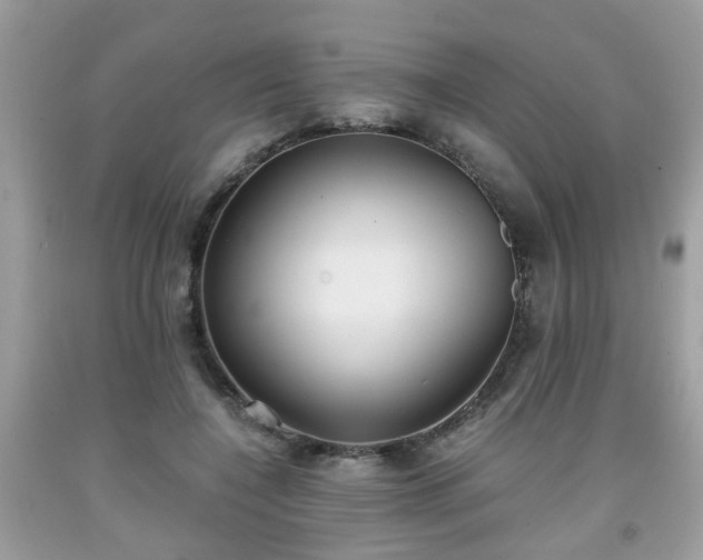 X0000091960548200709131229