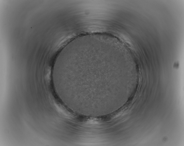 X0000091960550200709131229