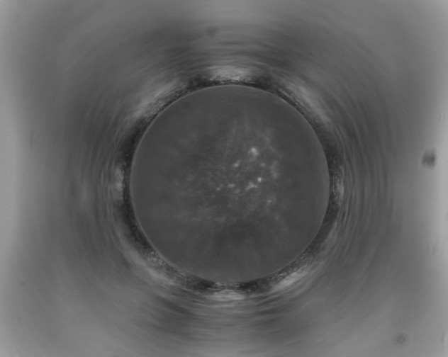 X0000091960551200709131229