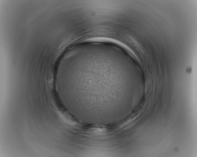 X0000091960552200709131229