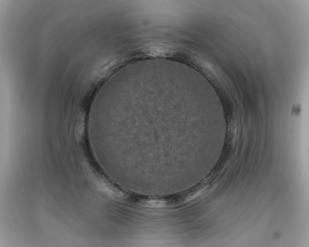 X0000091960554200709131229