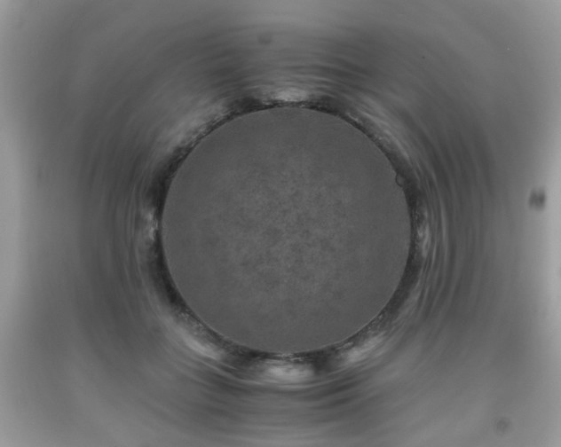 X0000091960555200709131229